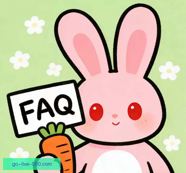 常见问题